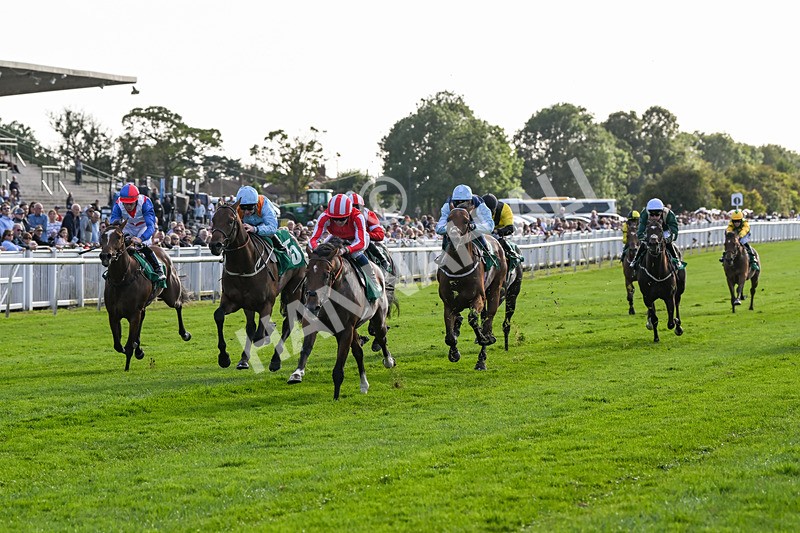 160824-Race 3-Force And Valour-9062 - Race 3