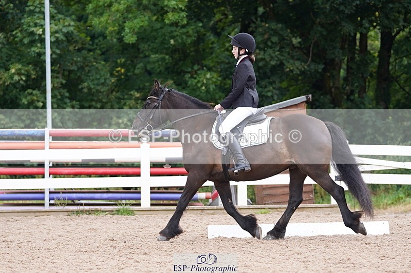 240809A-095330-00351 - Dressage Competition