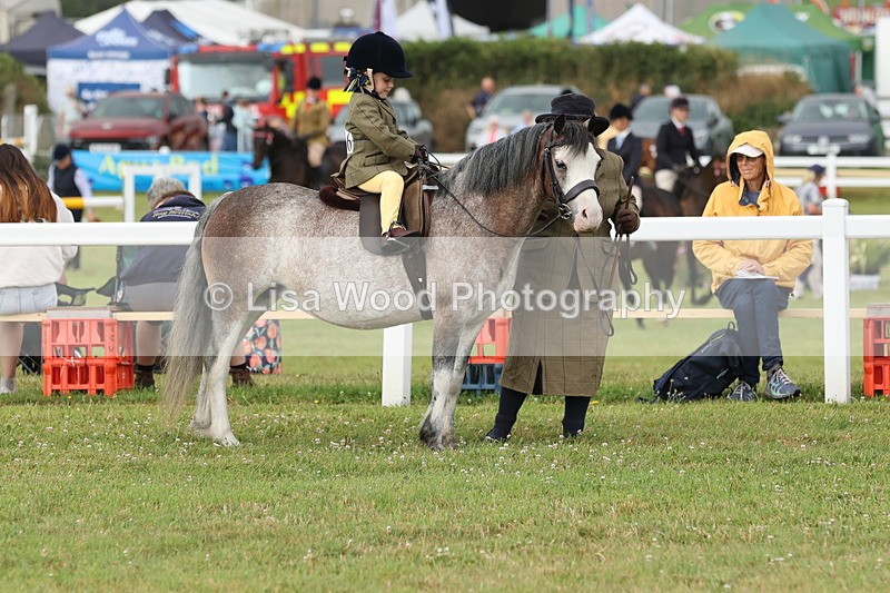 JPP_0350 - Class 14: Cornish Combination Leading Rein