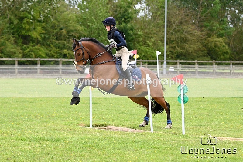 WJ6_3832 - Edited examples