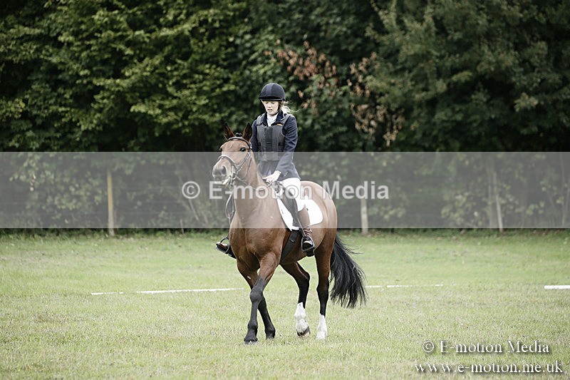 BVR080918 21 - BVRC Novice Dressage & CR 08/09/18