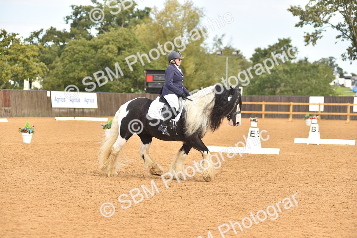 SBM_02168 - D7 - Small Tour Championship Prelim 2