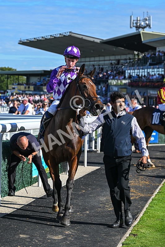220926-Race 3-Call Me Tomorrow-3669 - Race 3 2.40pm Christmas Parties R Us Restricted Novice Stakes