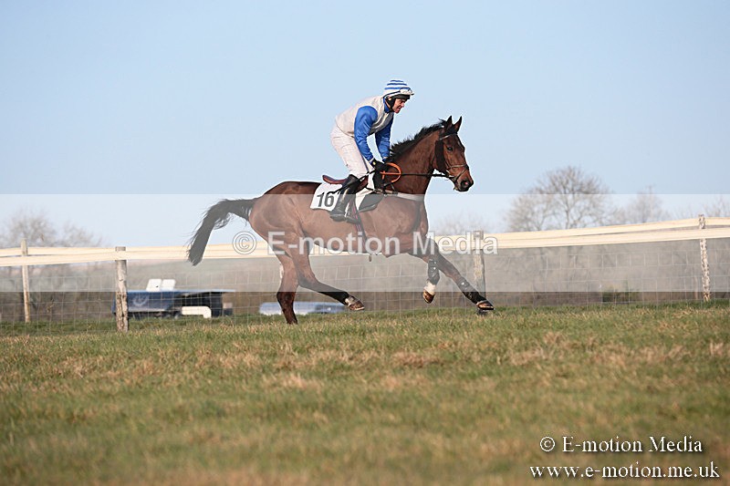 PtP 230219 577 - Vine & Craven Point-To-Point - Barbury 23/02/19
