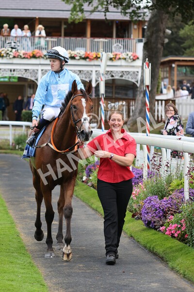 yr24092021r8-28 - Race 8 5.25pm William Hill Build Your Own Odds Apprentice Stakes