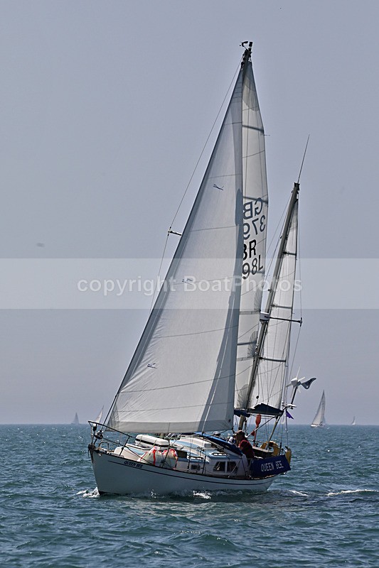 190629 QUEEN BEE GBR3897L D43A4813 - 190629 QUEEN BEE GBR3897L