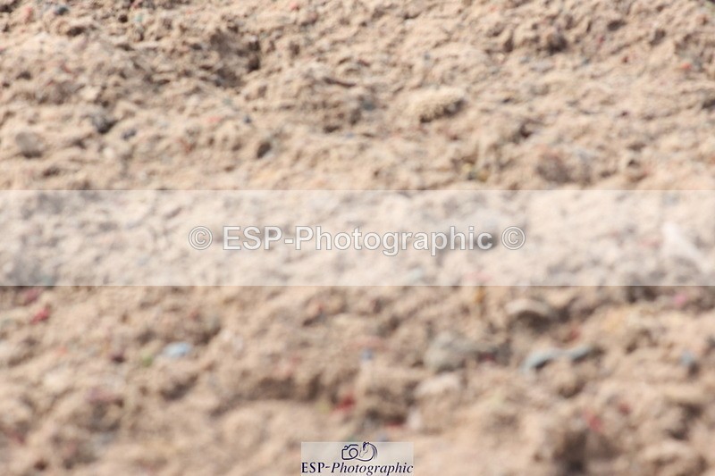 240706A-164107-04461 - Cls 9 RT Novice 27