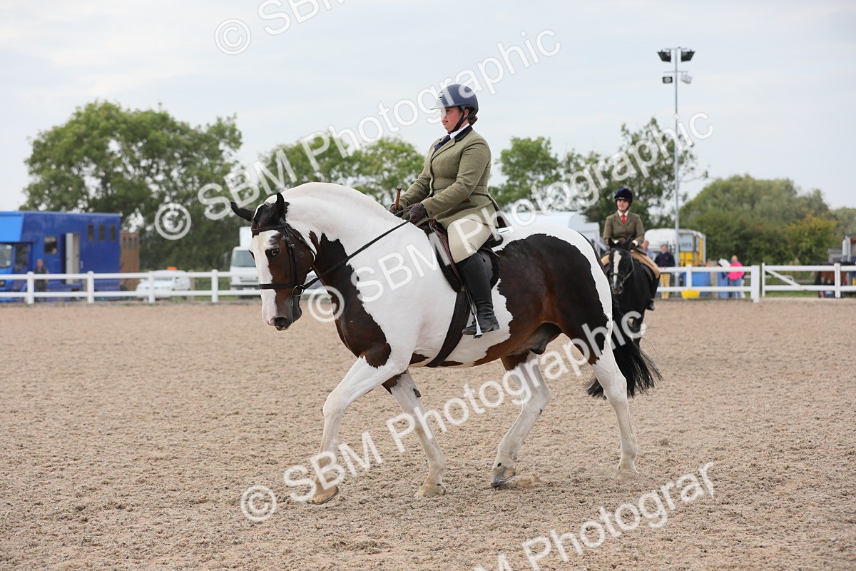SBM_16881 - Class 314 Family Horse/Pony