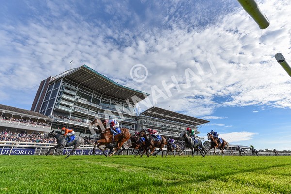 111025-Race 2-Grey Cuban-1920 - Race 2 Coral 'Pipped At The Post' Handicap at York