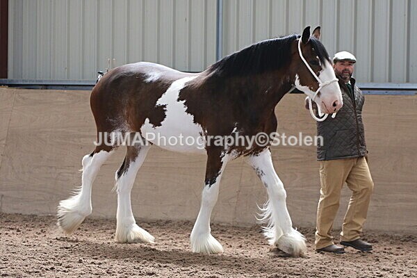 SIAL0289 - Indoor Classes