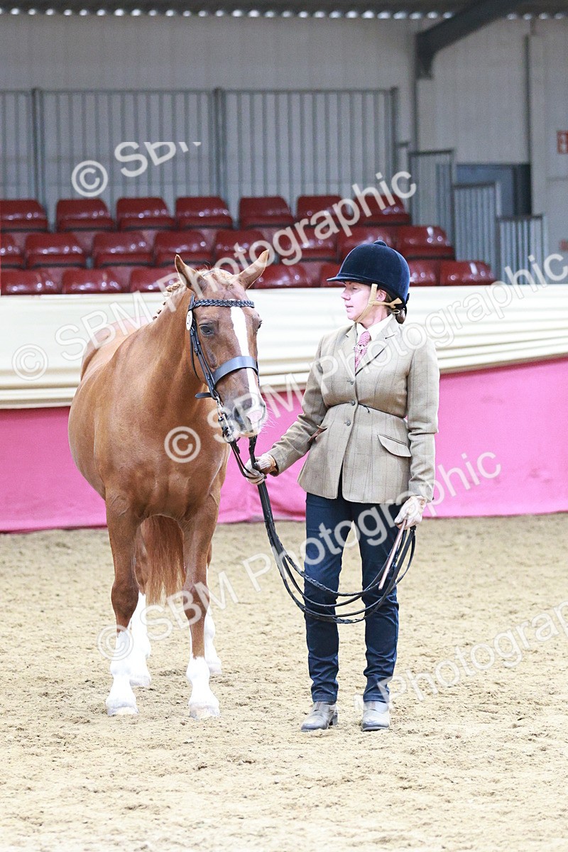 SBM_04838 - Class 7R - Regional IH Diamond