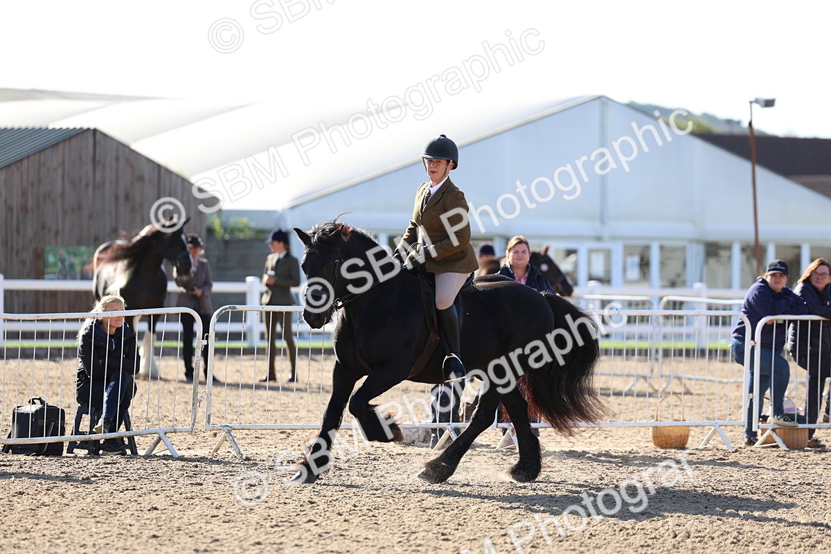 SBM_08885 - Class 302 - Ridden M&M - Large Breeds
