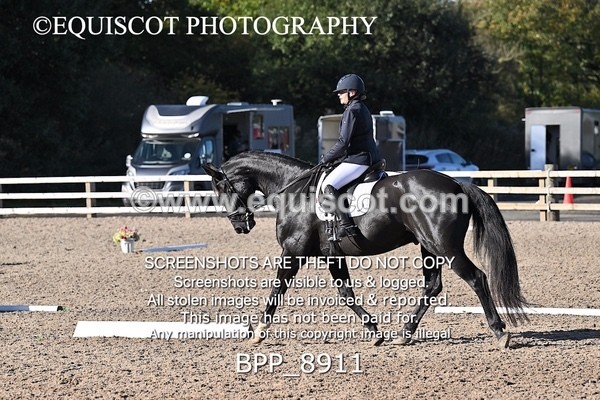 BPP_8911 - LONG ARENA NOVICE 6