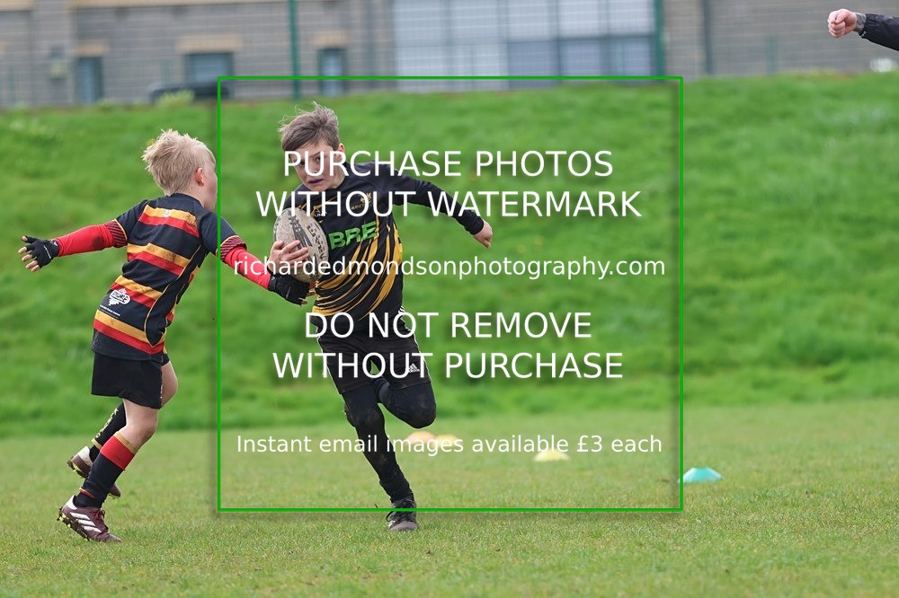 533A5624 - Kendal Rugby Mini & Youth (Sunday 12/4/26)