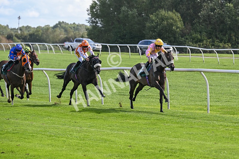 080926-Race 3-Battenburg Belle-2270 - Race 3 3.03pm Fifth Regiment Royal Artillery Handicap (Div I)
