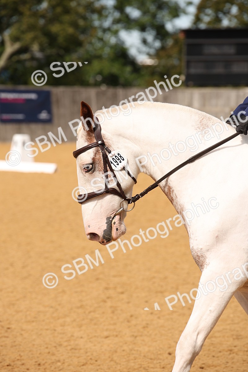SBM_21745 - D5 - Small Tour Championship - Intro C