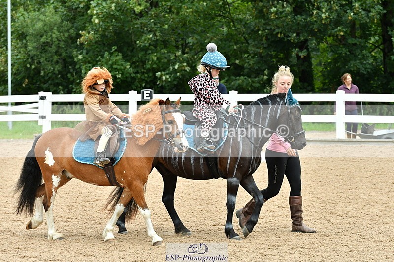 230804A-102919-01618 - Musical Ride