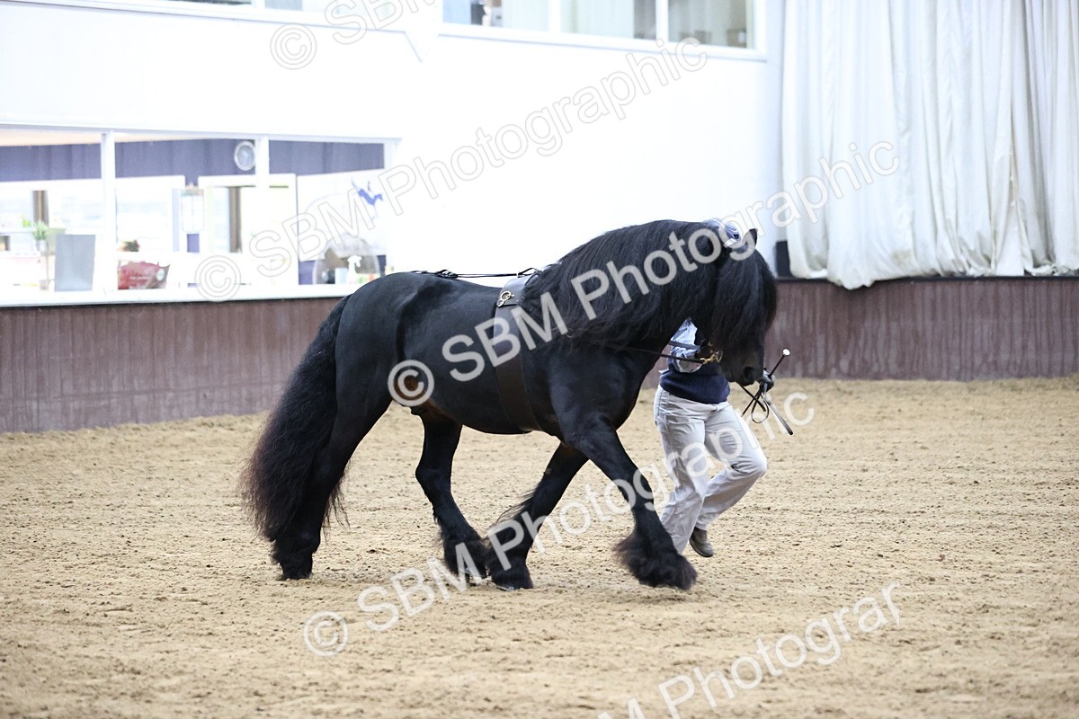 SBM_5299 - Class 32 - In Hand Cob Type