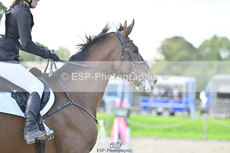 251005A-175853-05518 - Cls 12 Adv 1.10m Ind