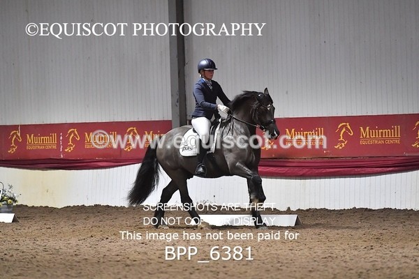 BPP_6381 - 37 Ellis Simister