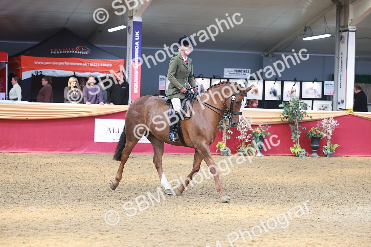 SBM_12569 - Class 103 - HOYS Veteran Qualifier - Ridden Pre Vet