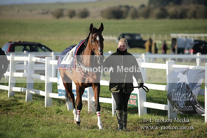 PtP 011219-0017 - Hursley Hambledon Hunt Point-to-Point 01/12/19