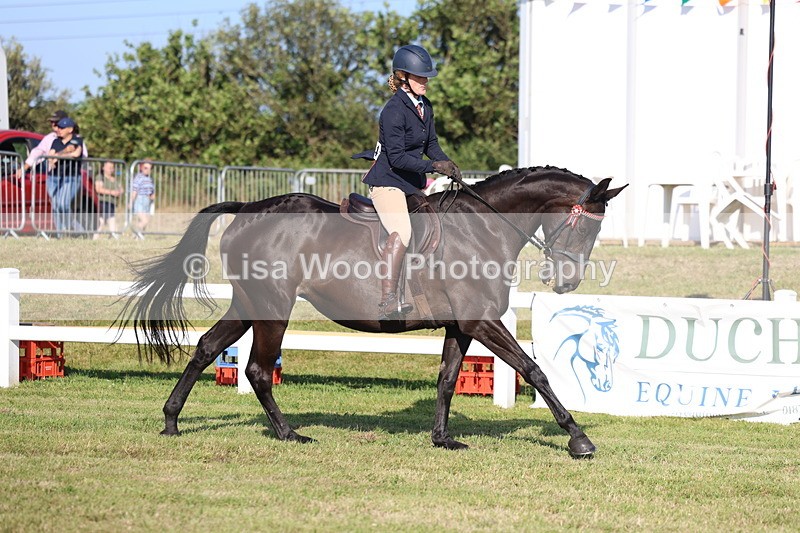 3E7A5314 - Class 2: Rising Star Large Hack/Riding Horse