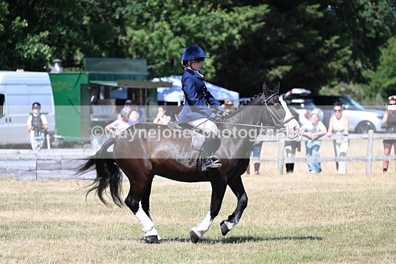 WJ7_3726 - Class 8 Ridden Veterans