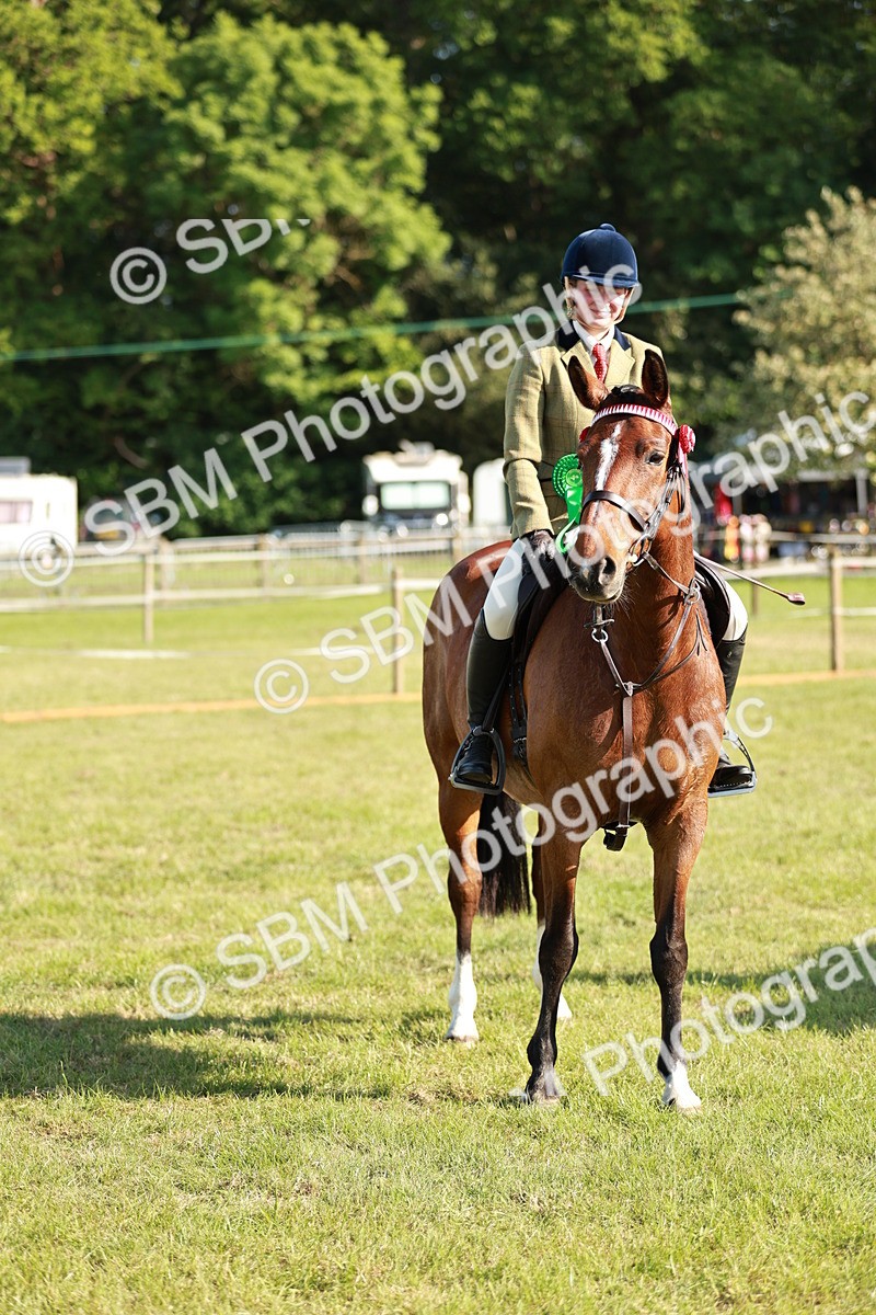 SBM_19332 - Class 115-116 - LIHS BSHA Rising Star Working Hunter & Show Horse