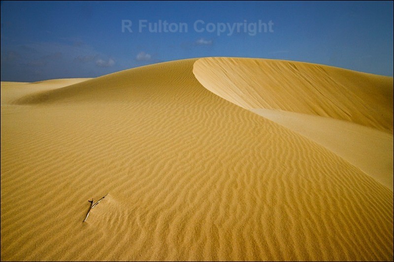 Nature's Beauty - Landscapes