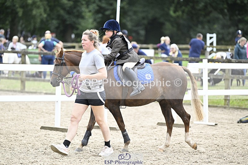 240822X-131309-07960 - 40cm LR R2 13.00 to 15.00