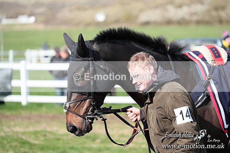 PtP 230324 228 - Tedworth Hunt PtP Larkhill Raccourse 23rd March 2024