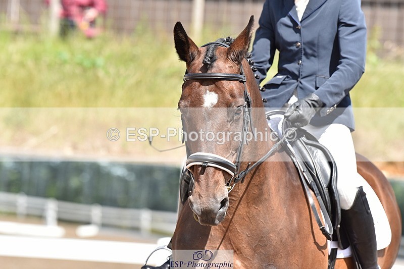 240706A-153240-03923 - Cls 4D Snr Elementary