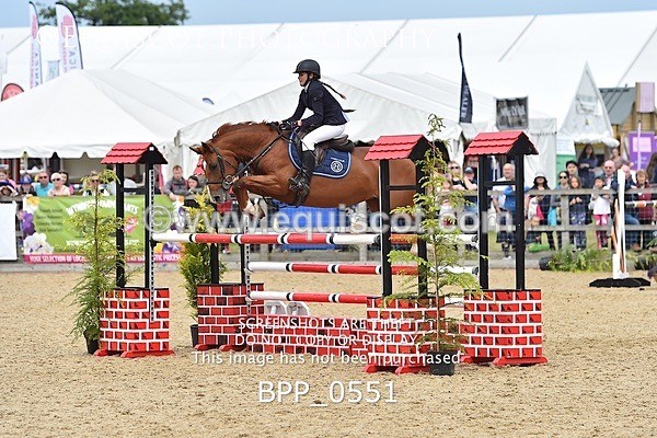 BPP_0551 - RHS 2019 Selection - *Just some random spectator shots so Lucky Dip if you are there!