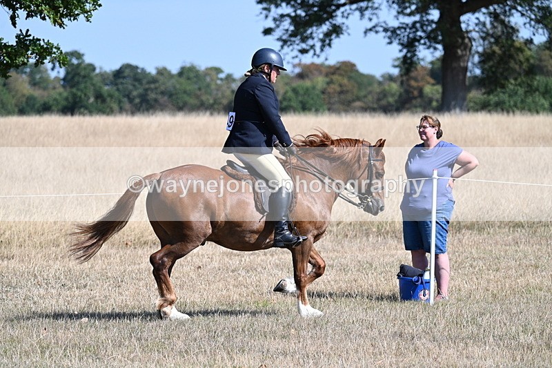 WJ7_3864 - Class 9 Mountain & Moorland Ridden