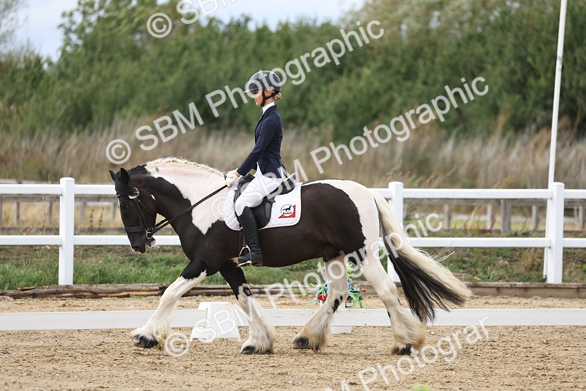 SBM_003649 - Class 8 - Novice 3 Champs