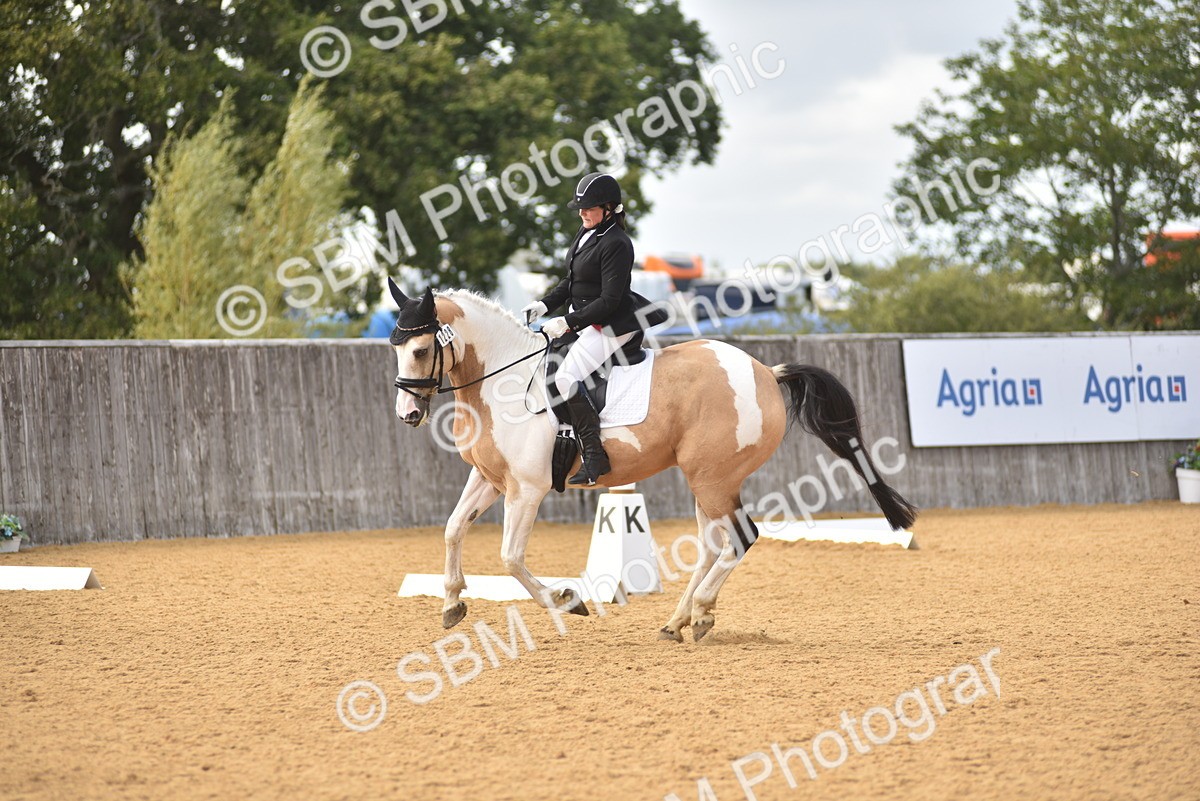 SBM_24357 - D4 - Small Tour Championship Intro 4