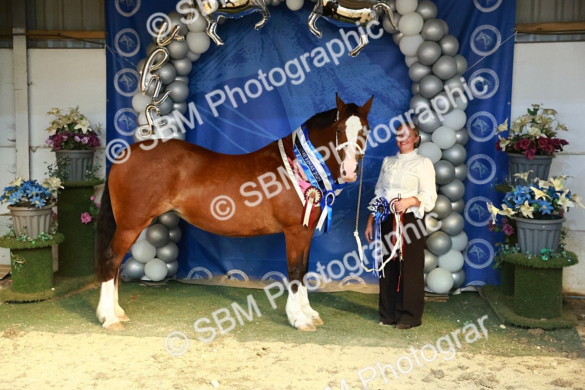 SBM_17993 - M&M Supreme Final Champ