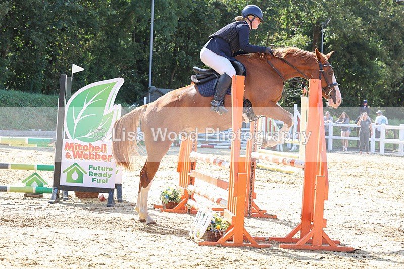 3E7A1106 - Class 4: Senior British Novice/90cm open