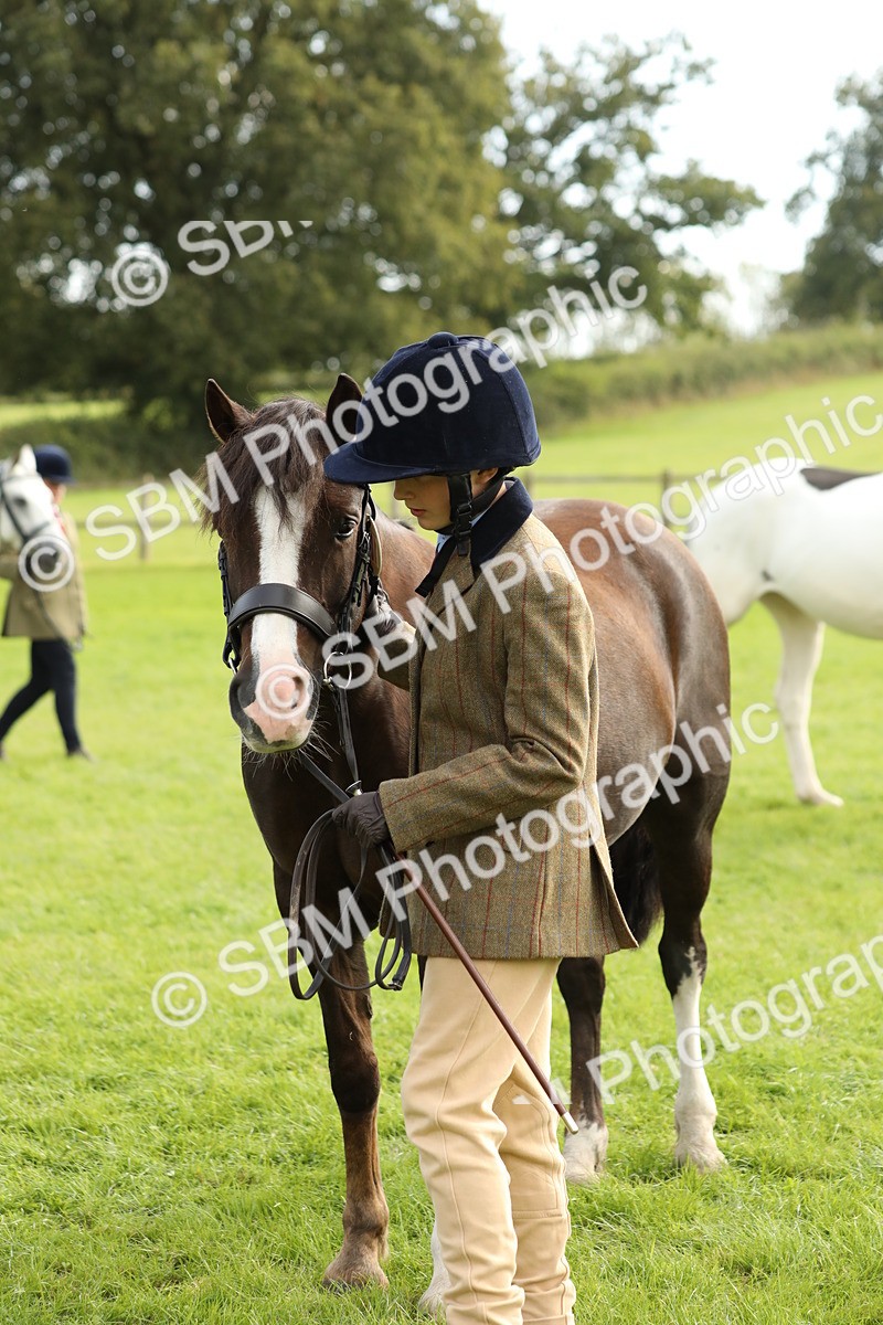 SBM_68715 - S40 - Junior Handler 9-12 Years