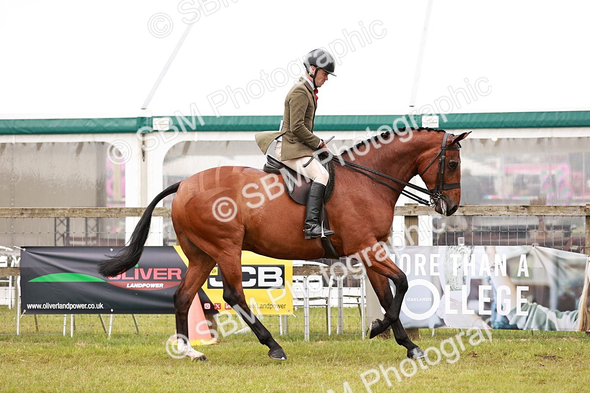 SBM_11551 - Class 81-84 - RIHS Ridden hunters Inc Ladies Hunter