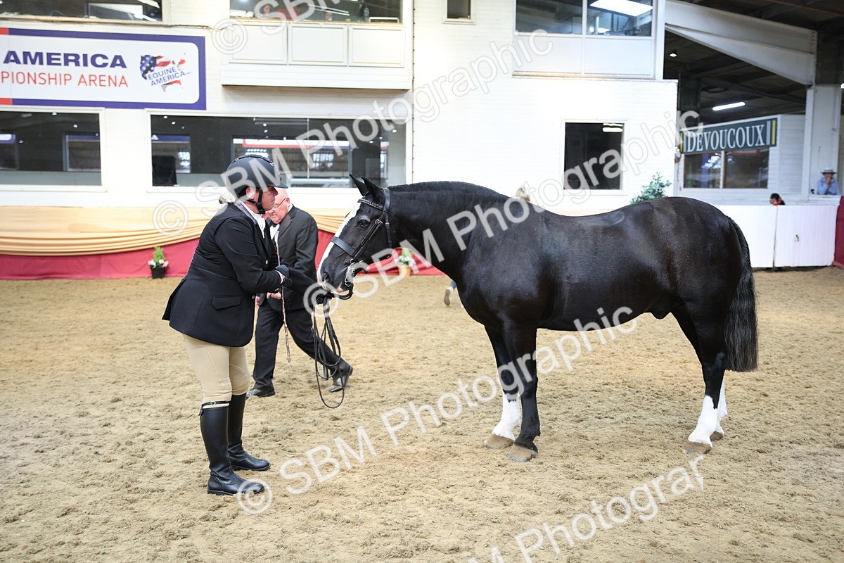 SBM_24288 - Class 905 - Supreme Final - Ridden Veteran