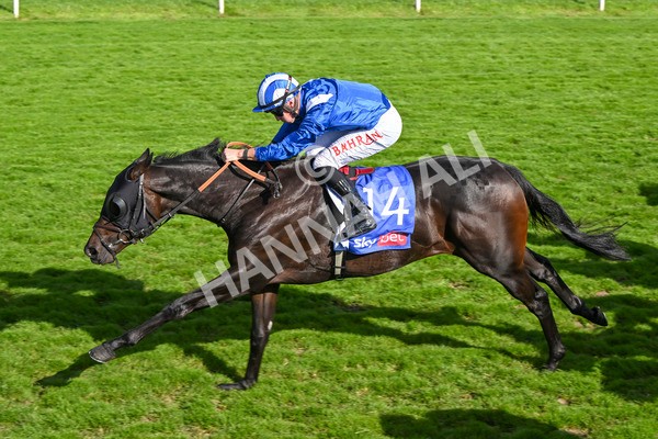 240824-Race 5-Elmonjed-1766 - Race 5 4.10pm Sky Bet Constantine Handicap
