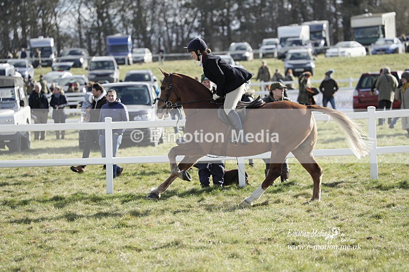 PtP 260223 929 - South & West Wilts Point-to-Point Larkhill 26/02/23