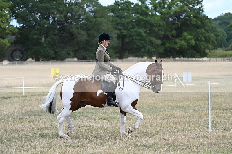 WJ7_4875 - Class 12 Ridden Cob