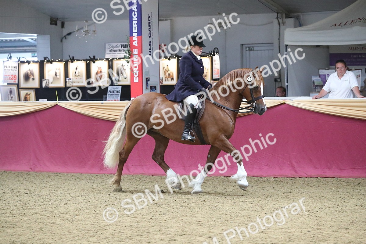 SBM_17185 - M&M Supreme Final Champ