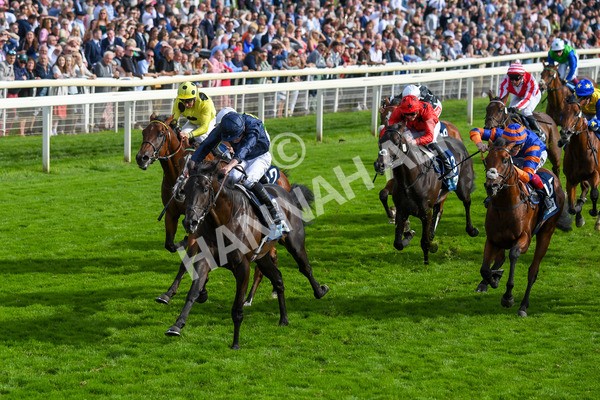 250823-Race 6-Battle Cry-1042 - Race 6 4.45pm British EBF 40th Anniversary Convivial Maiden Stakes