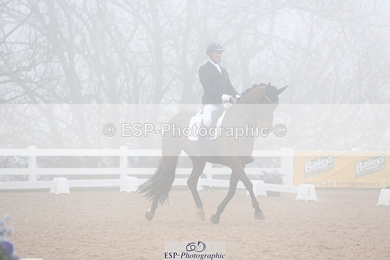 240217A-140523-03996 - 172-Jezz.Palmer-Honey.D'Or