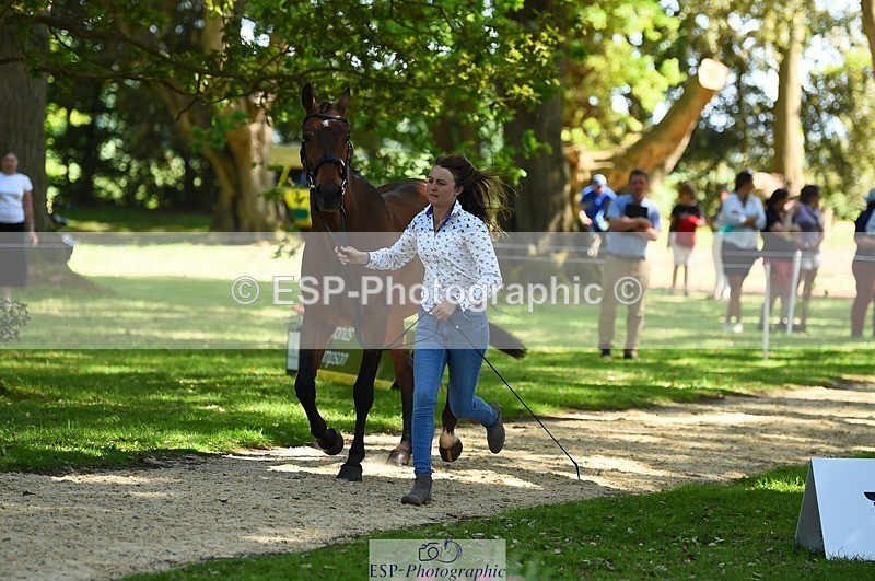 230524-153048-00315 - 373-BENGAL_LORE-Pippa_Taylor-WEDTrotUp+DR