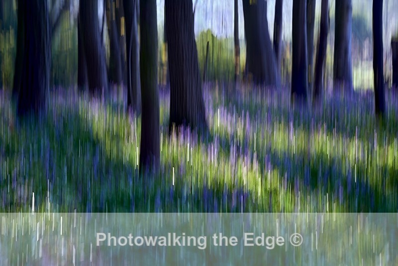  - Abstract - ICM